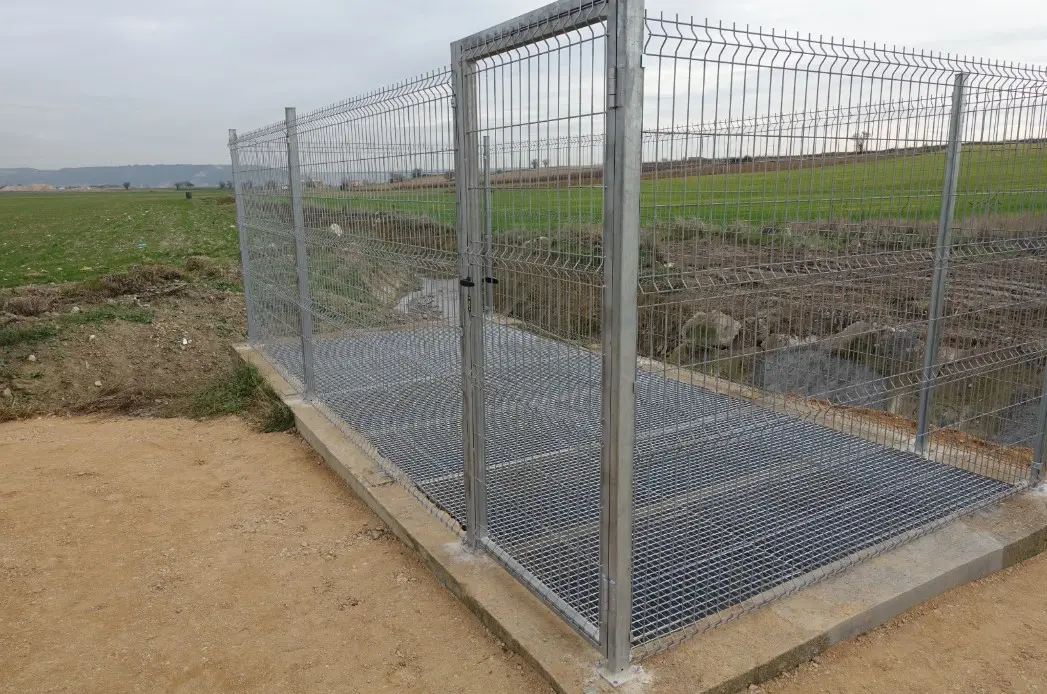 Inicio nueva 7 Jaula